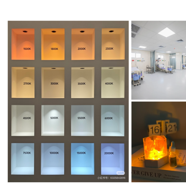 Studying the effects of lighting and color on overall atmosphere.